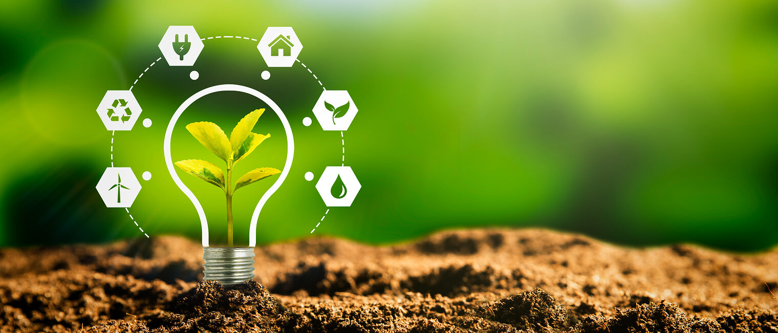 Ein Pflänzchen in einer Glühbirne mit sechs Fünfecken, die Wind, Recycling, Strom, Gebäude, Natur und Wasser symbolisieren. 